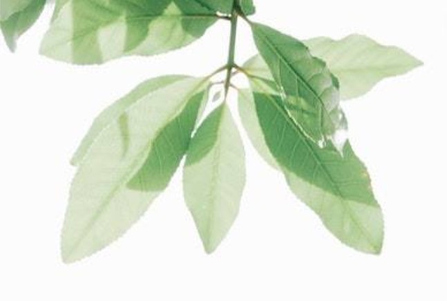 Tekst en communicatie